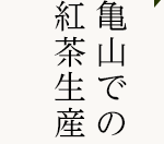 亀山での紅茶生産