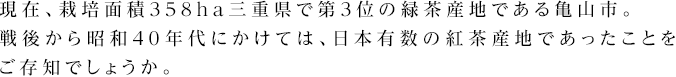現在、栽培面積358ha三重県で第3位の緑茶産地である亀山市。 戦後から昭和40年代にかけては、日本有数の紅茶産地であったことをご存知でしょうか。