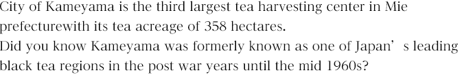 City of Kameyama is the third largest tea harvesting center in Mie prefecturewith its tea acreage of 358 hectares. Did you know Kameyama was formerly known as one of Japan’s leading black tea regions in the post war years until the mid 1960s?