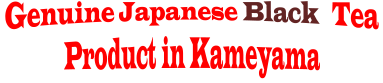 Genuine Japanese Black Tea Product in Kameyama